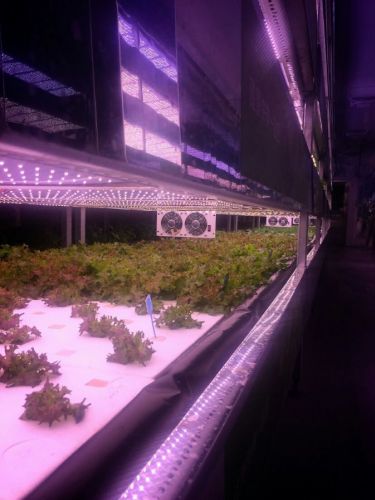 散熱風扇使用於有機蔬菜工場(4"X2孔)